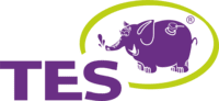Сеть заправок “TES”